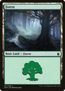 Forest 317 (317) [CMA]
