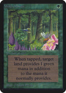 Wild Growth [LEA]