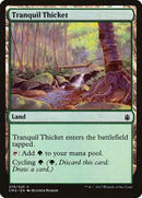 Tranquil Thicket (279) [CMA]