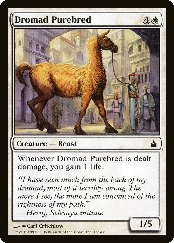 Dromad Purebred (15) [RAV]