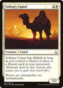 Solitary Camel (23) [HOU]