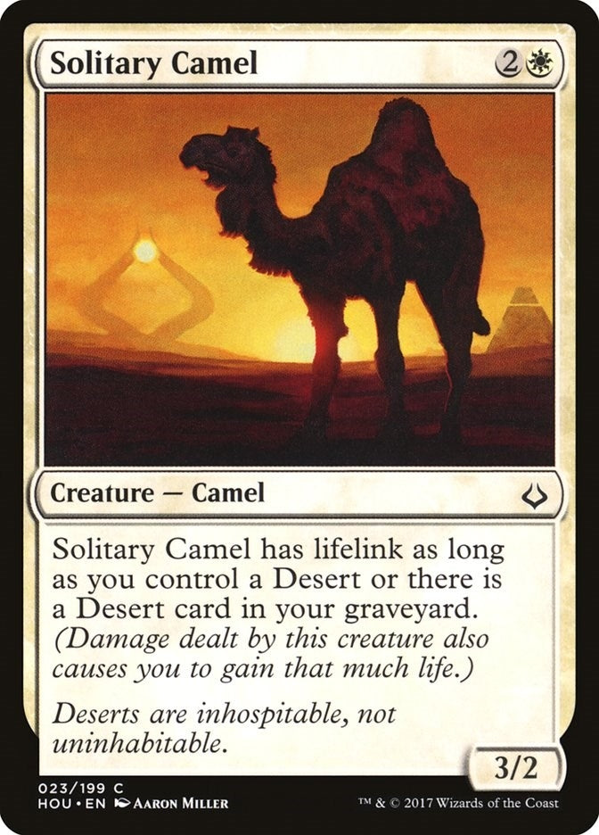 Solitary Camel (23) [HOU]