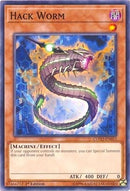 Hack Worm (COTD-EN012) [COTD]