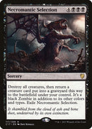 Necromantic Selection (117) [C17]