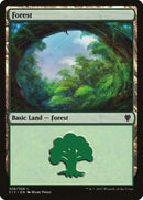Forest 308 (308) [C17]