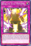 Rise to Full Height (MP17-EN043) [MP17]