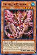 Crystron Rosenix (MP17-EN140) [MP17]
