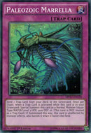 Paleozoic Marrella (MP17-EN170) [MP17]