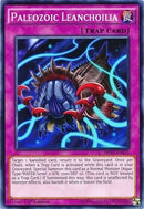 Paleozoic Leanchoilia (MP17-EN171) [MP17]