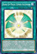 Rank Up Magic Cipher Ascension (MP17-EN210) [MP17]