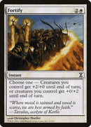Fortify (19) [TSP]