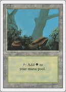 Forest A (284) [3ED]