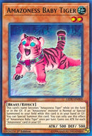 Amazoness Baby Tiger (LEDU-EN009) [LEDU]