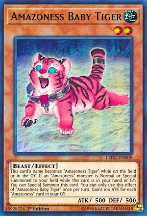 Amazoness Baby Tiger (LEDU-EN009) [LEDU]