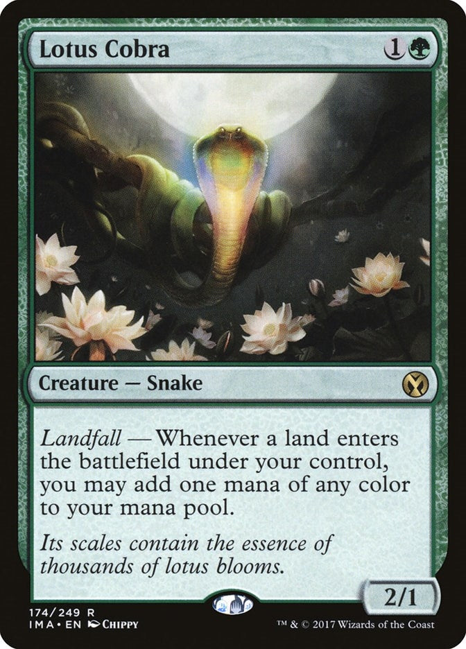 Lotus Cobra (174) [IMA]