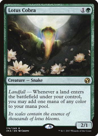 Lotus Cobra (174) [IMA]