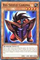Big Shield Gardna (LEDD-ENA12) [LEDD]