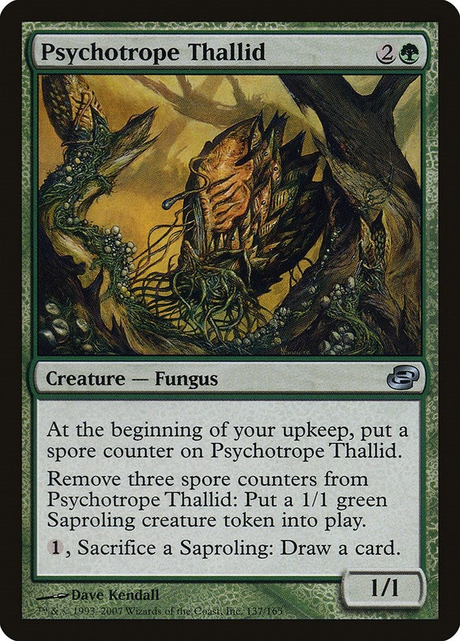 Psychotrope Thallid (137) [PLC]
