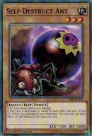 Self Destruct Ant (CIBR-EN035) [CIBR]