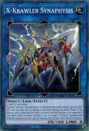 X Krawler Synaphysis (CIBR-EN048) [CIBR]