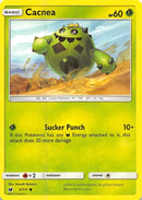 Cacnea (5/111) [SM04]