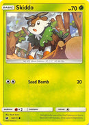 Skiddo (10/111) [SM04]
