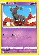 Salandit (46/111) [SM04]