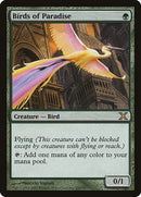 Birds of Paradise (252) [10E]
