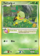 Turtwig 78 100 (078/100) [CCP]