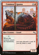 Common Iguana (79) [UST]