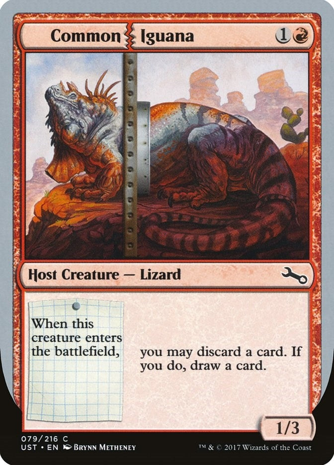 Common Iguana (79) [UST]