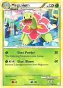 Meganium 26 123 Cracked Ice Holo (026/123) [PR]