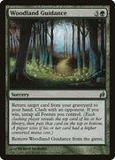 Woodland Guidance (243) [LRW]