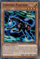 Striping Partner (EXFO-EN003) [EXFO]
