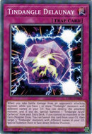 Tindangle Delaunay (EXFO-EN069) [EXFO]