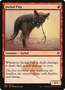 Jackal Pup (139) [A25]