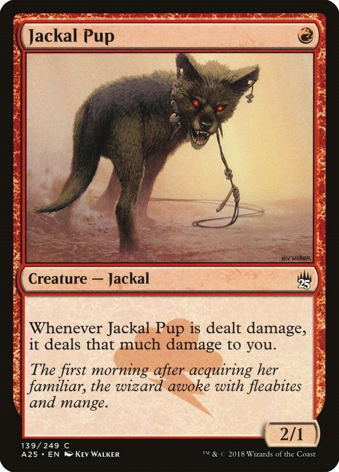 Jackal Pup (139) [A25]