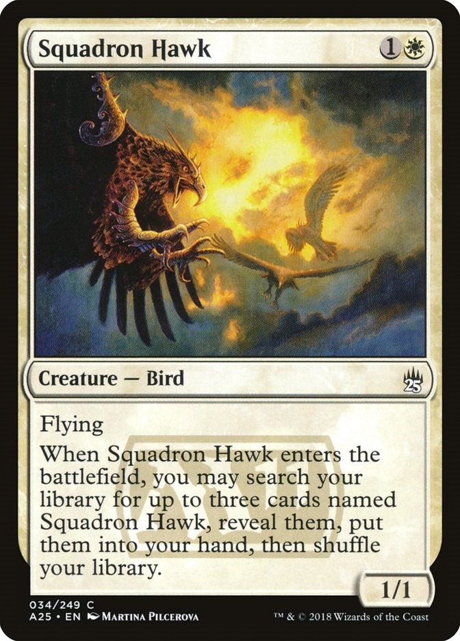 Squadron Hawk (34) [A25]