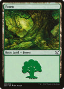 Forest 33 (33) [DDU]