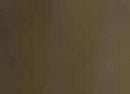 Auxiliary Products: German Green Brown RAL 8000 (17ml)