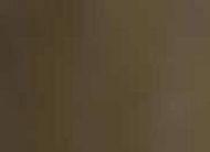 Auxiliary Products: German Green Brown RAL 8000 (17ml)
