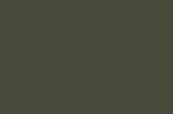 Auxiliary Products: Russian Green (17ml)