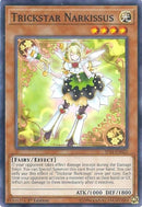 Trickstar Narkissus (SP18-EN023) [SPV]