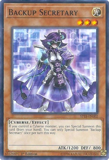 Backup Secretary (SP18-EN002) [SPV]