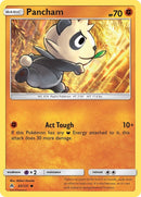 Pancham (65/131) [SM06]