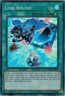 Link Bound (FLOD-EN063) [FLOD]