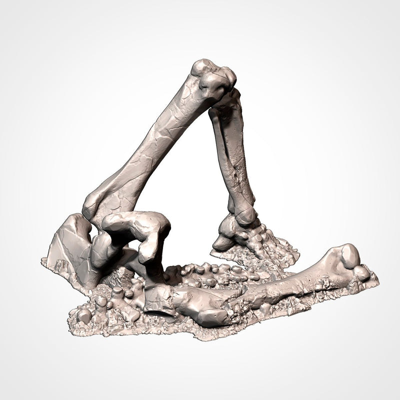 Dead Giant Mammoths 3D printed terrain view 16