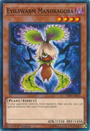 Evilswarm Mandragora (YS18-EN016) [YS18]