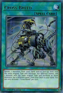 Cross Breed (CYHO-EN066) [CYHO]