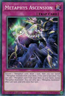Metaphys Ascension (CYHO-EN076) [CYHO]